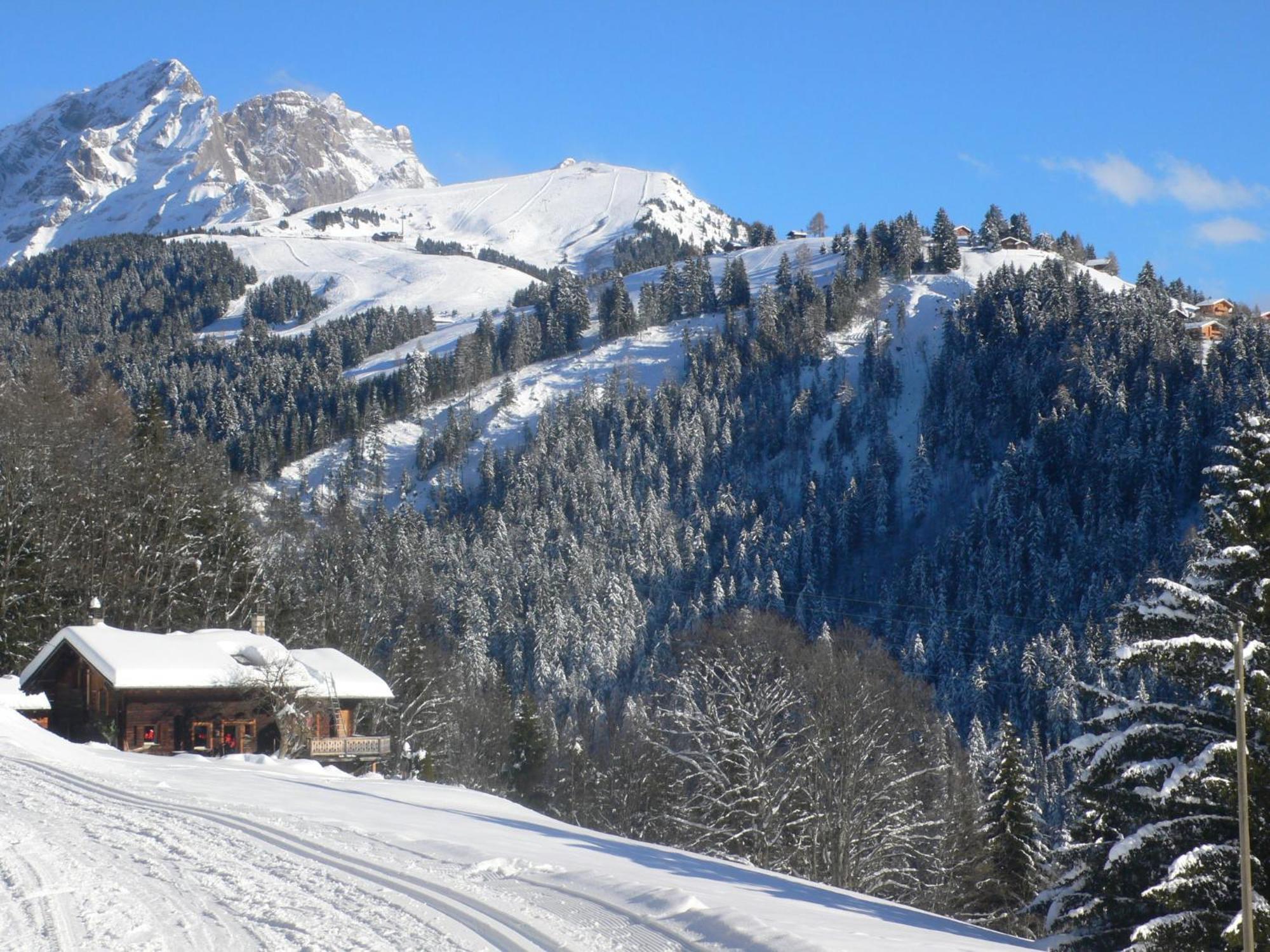 Chalet Chalet Maurice By Interhome Chesières Exterior foto